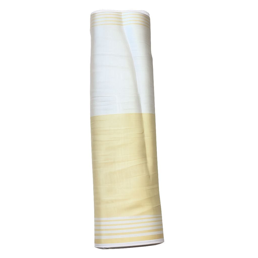 Banarasi Handloom Pure Tissue Dupatta 9854 ( 36 Inches Width )